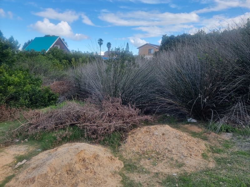 Coastal Investment Gem – Dana Bay (910m2) - Photo 4
