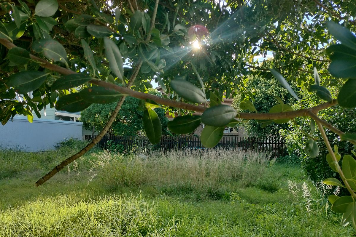 A view of a residential vacant plot featuring overgrown grass and mature trees, enclosed by a perimeter fence.