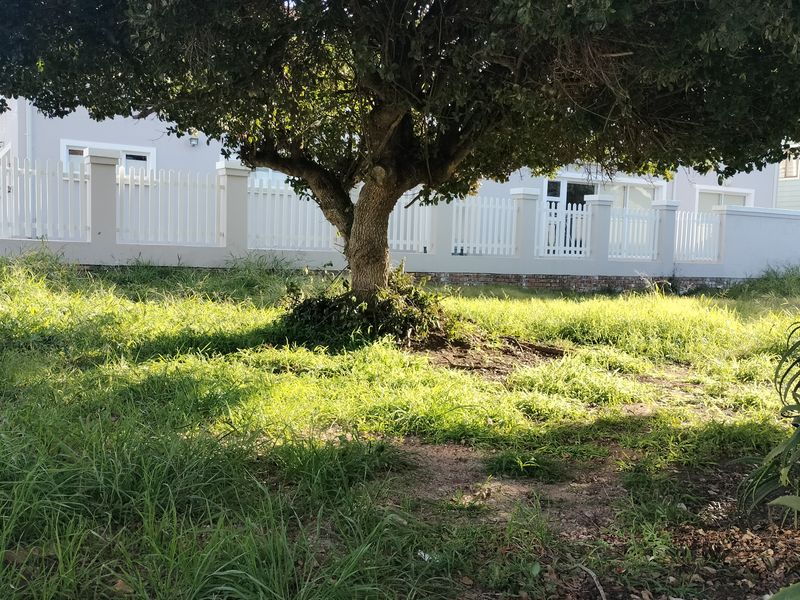 A view of a residential garden featuring a mature tree, established lawn, and a white picket fence boundary wall.