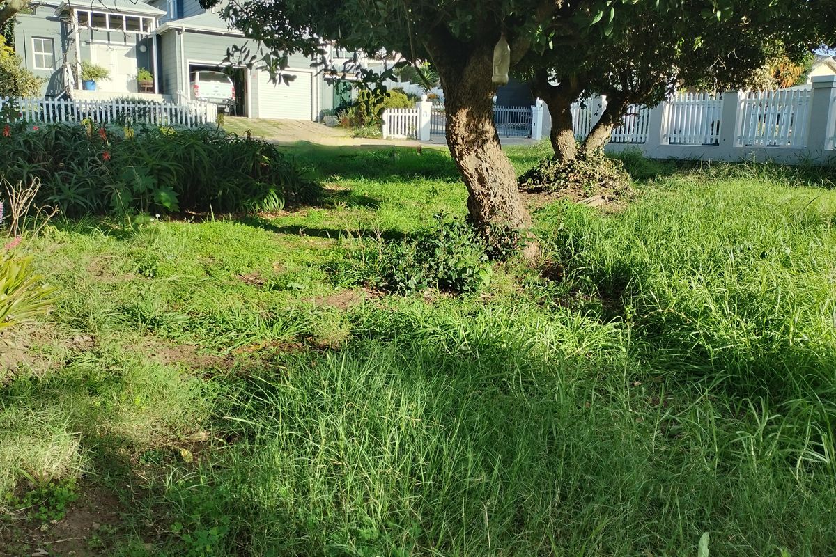 A view of a residential garden area featuring mature trees and a white picket fence boundary.