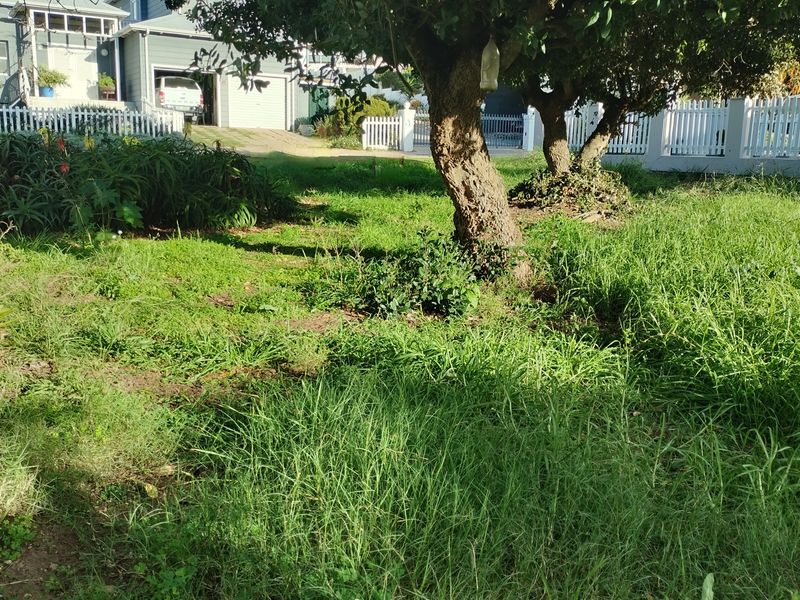 A view of a residential garden area featuring mature trees and a white picket fence boundary.