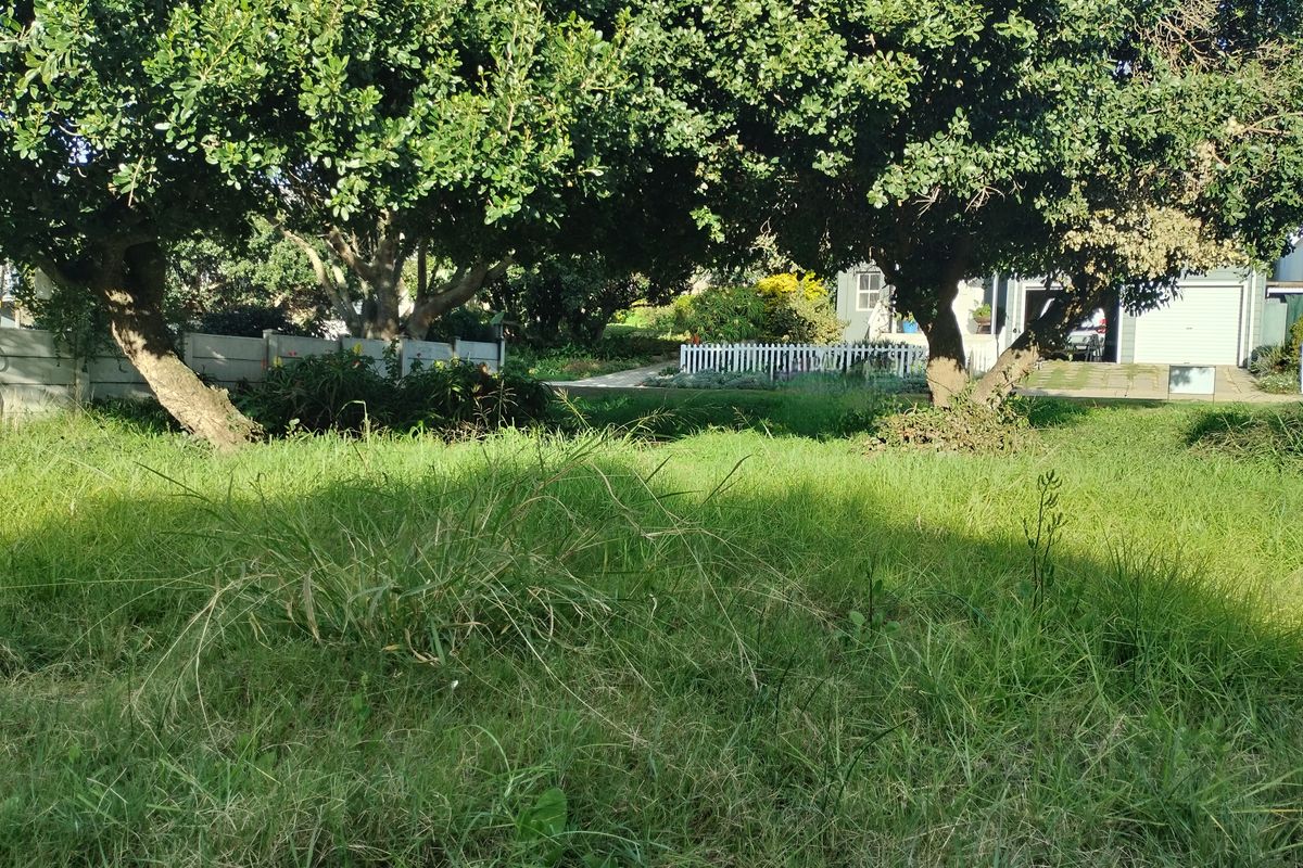 A view of a residential garden plot featuring mature trees, a boundary wall, and a white picket fence.