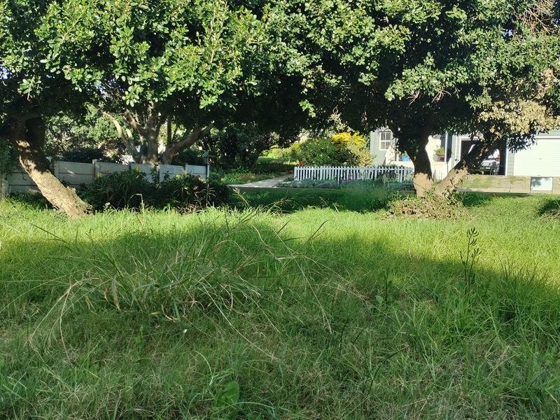 A view of a residential garden plot featuring mature trees, a boundary wall, and a white picket fence.