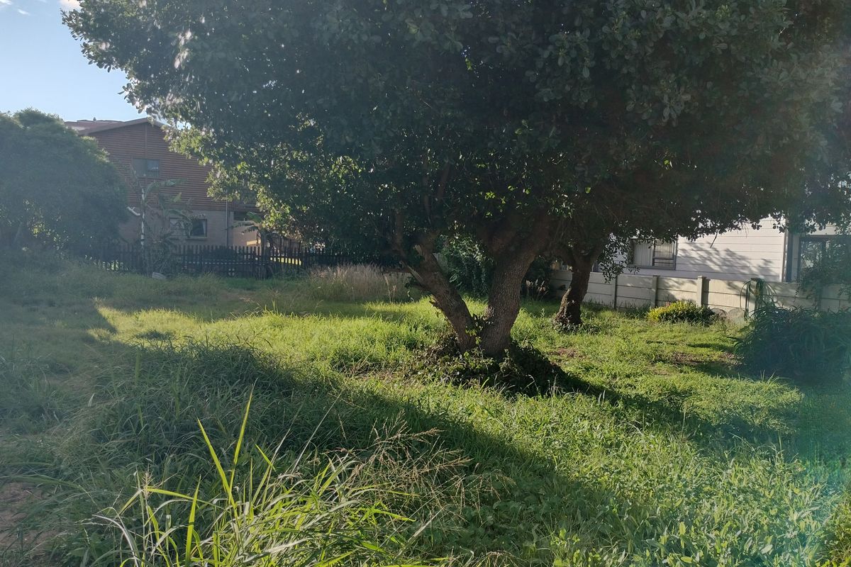A view of a residential plot featuring mature trees, overgrown grass, and perimeter boundary walls.