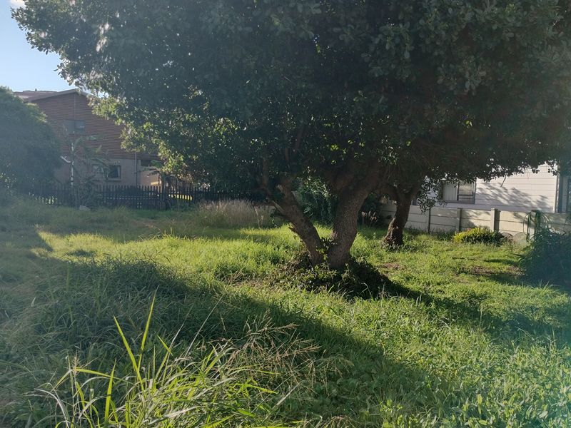 A view of a residential plot featuring mature trees, overgrown grass, and perimeter boundary walls.