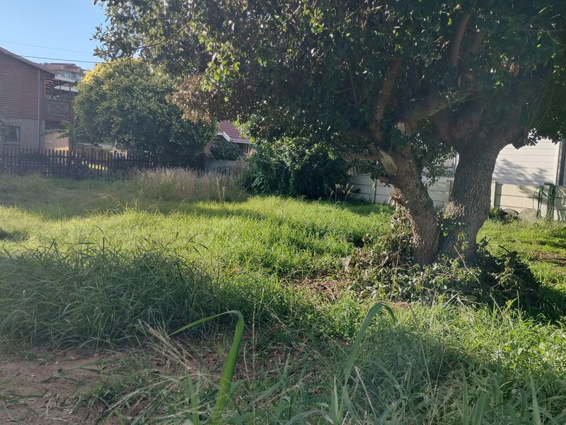A view of a residential vacant land plot featuring a large mature tree and overgrown grass, enclosed by boundary walls and fencing.