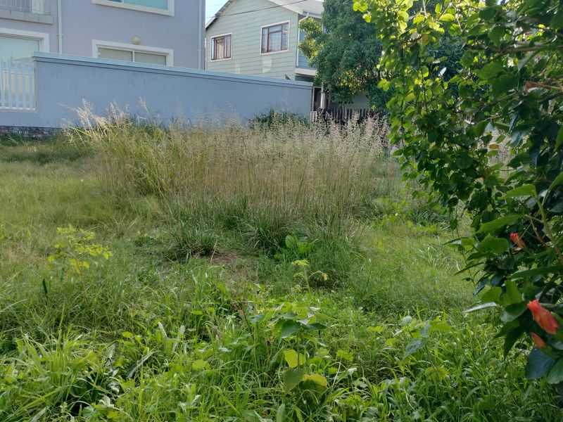A view of a vacant residential plot featuring overgrown grass and established boundary walls, offering potential for landscaping or future development.