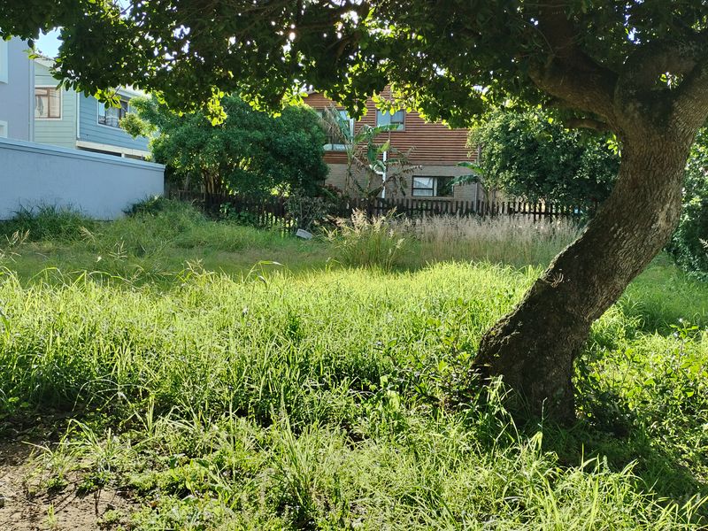 A view of a vacant residential plot featuring mature trees, overgrown grass, and existing boundary fencing.