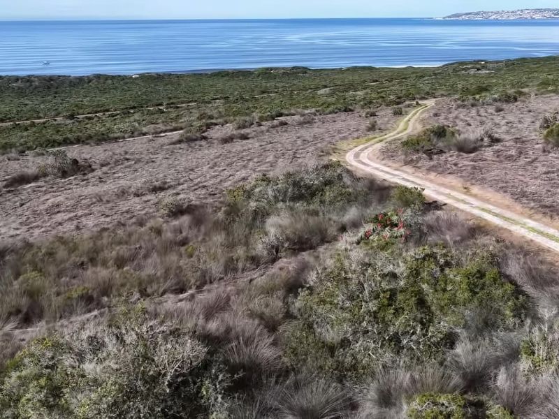 An aerial view of a coastal property featuring a dirt access road winding through natural vegetation towards the ocean.