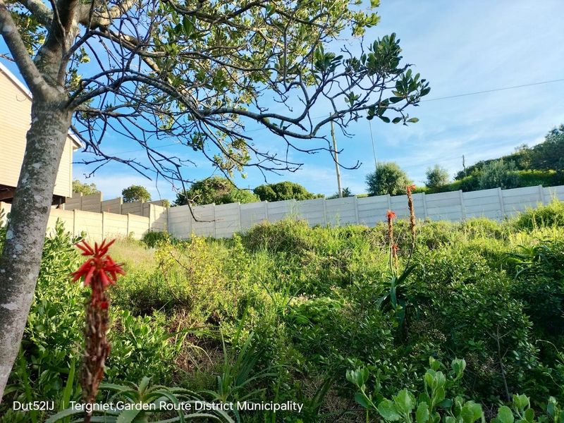 A view of a residential plot featuring established trees, indigenous plants, and a precast concrete boundary wall.