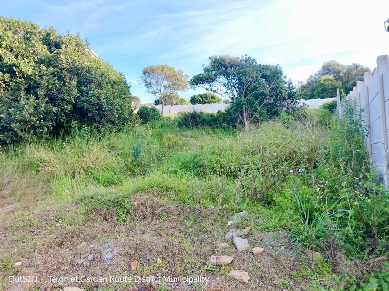 A view of a vacant residential plot featuring overgrown vegetation and a precast concrete boundary wall.
