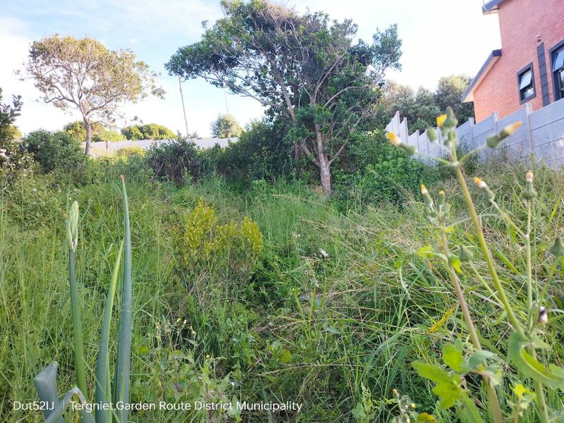 A view of a vacant residential plot featuring overgrown vegetation, mature trees, and a precast concrete boundary wall.
