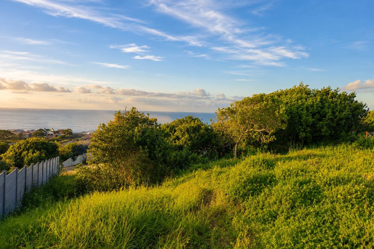A scenic view of the coastal landscape and ocean from the vacant residential property, featuring natural vegetation and perimeter fencing.