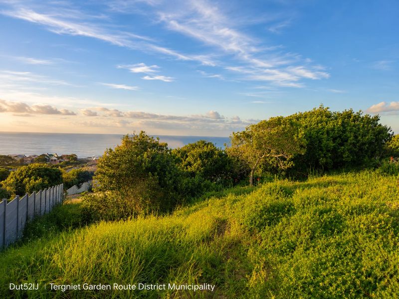 A scenic view of the coastal landscape and ocean from the vacant residential property, featuring natural vegetation and perimeter fencing.