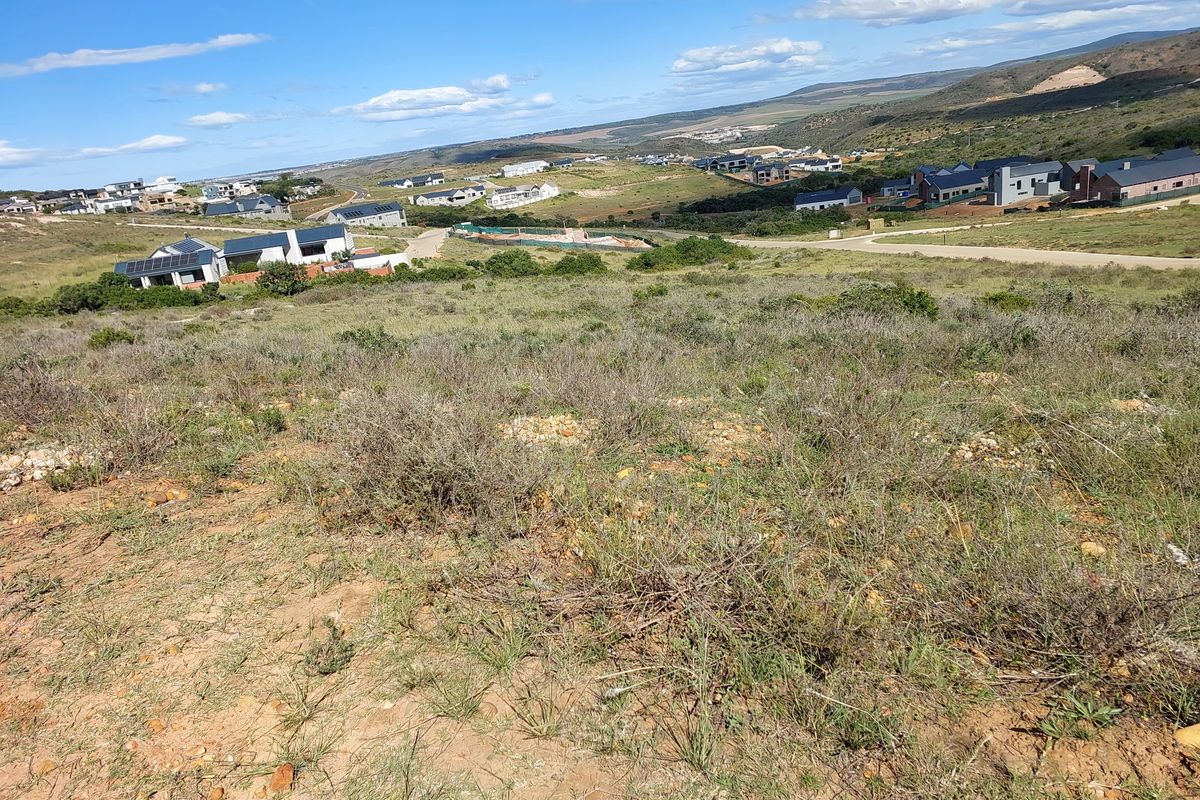 An Exclusive Canvas in Outeniquasbosch Wildlife Village. - Photo 5