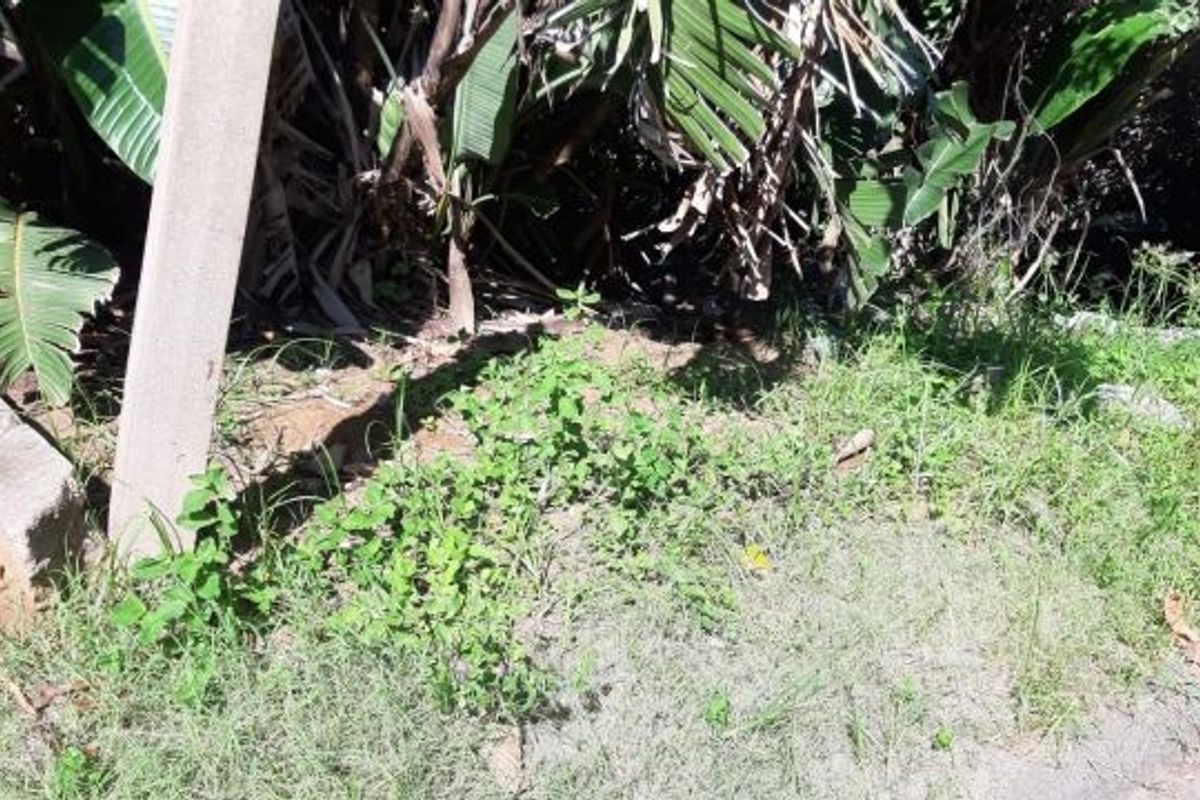 Vacant Land with loads of potential - Photo 4