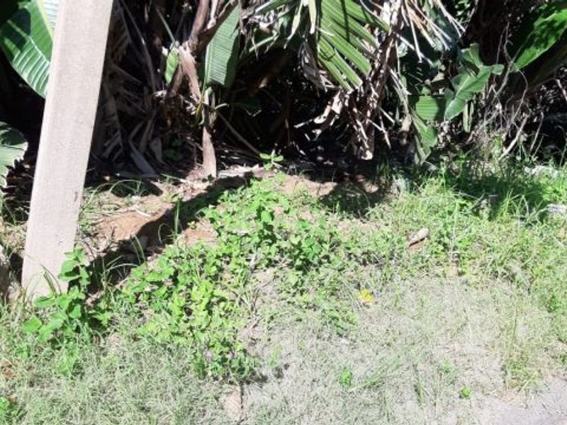 Vacant Land with loads of potential - Photo 4