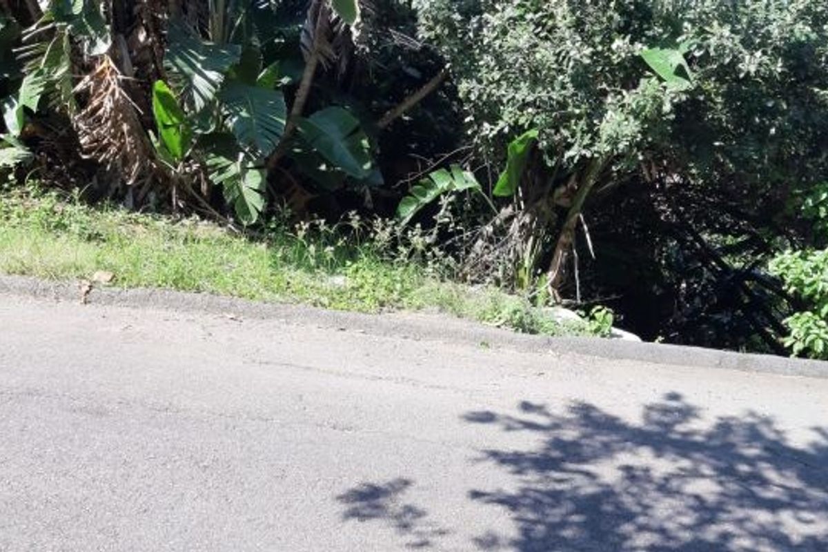 Vacant Land with loads of potential - Photo 3