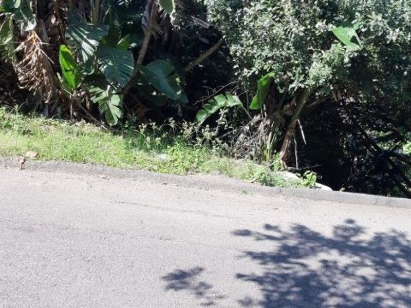 Vacant Land with loads of potential - Photo 3