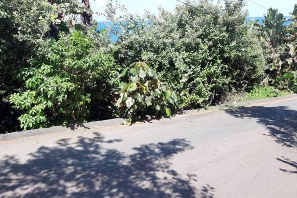 Vacant Land with loads of potential - Photo 2