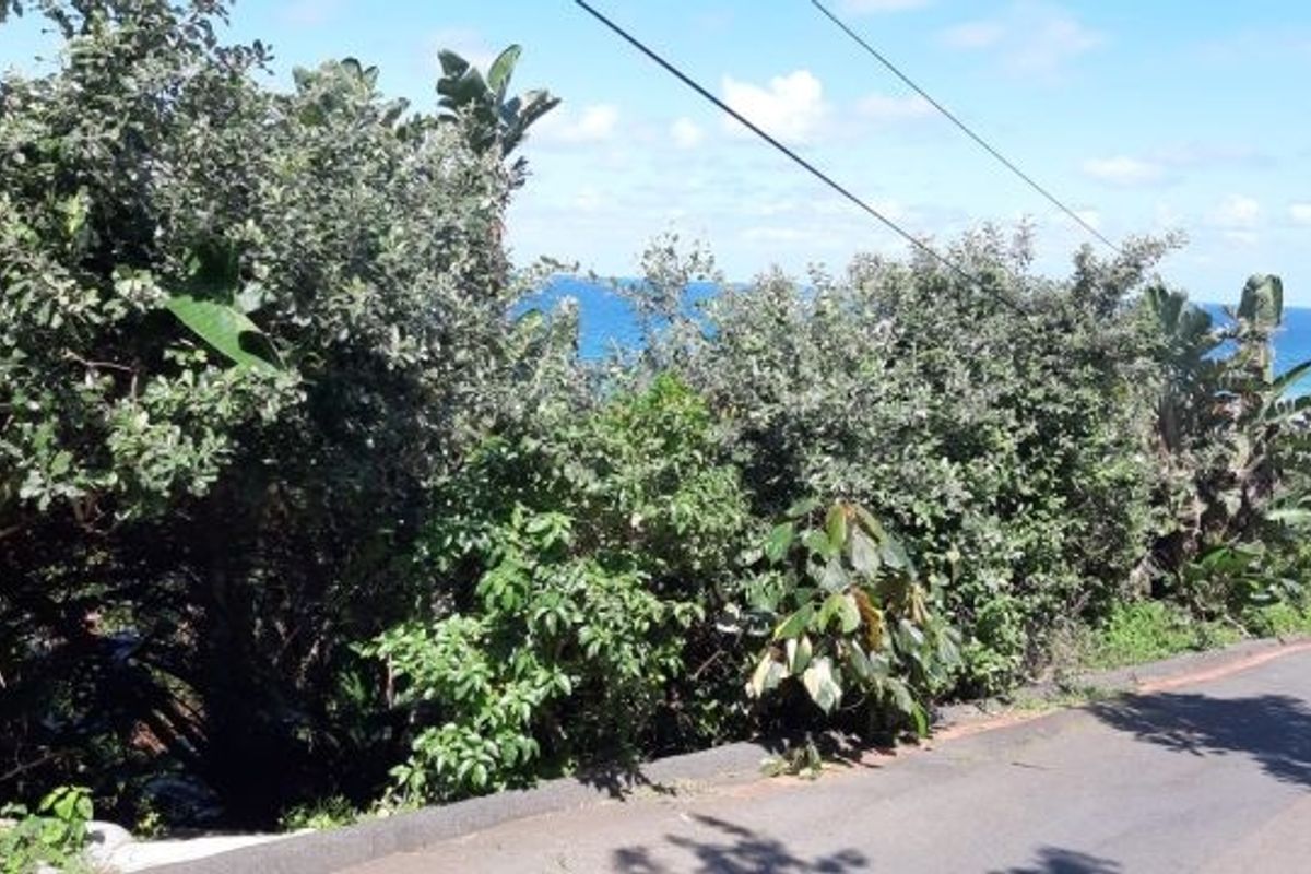 Vacant Land with loads of potential - Photo 5