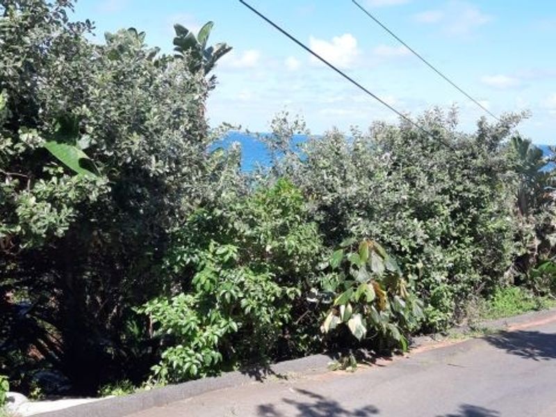 Vacant Land with loads of potential - Photo 5