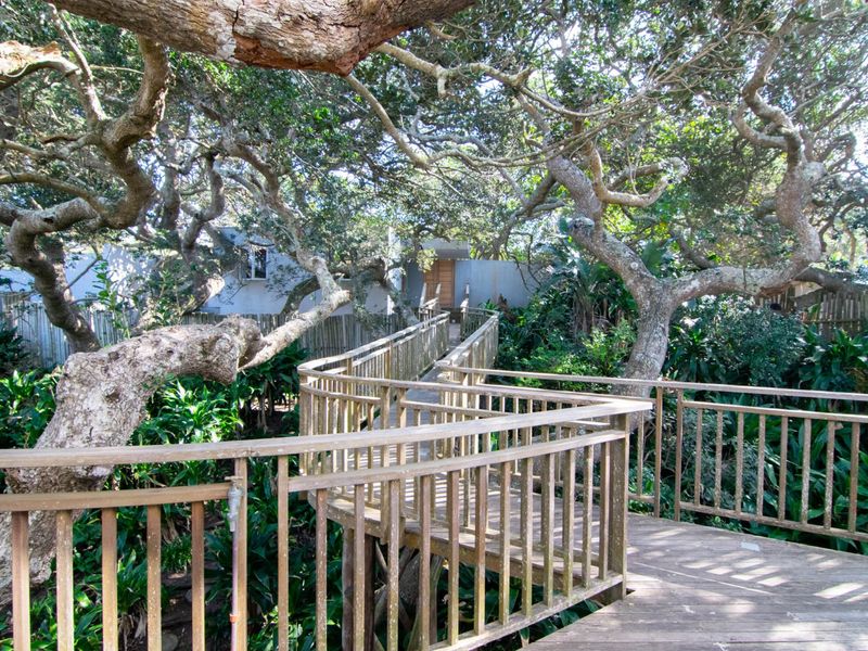 Beach House set in Milkwood trees - Zinkwazi Beach - Photo 2