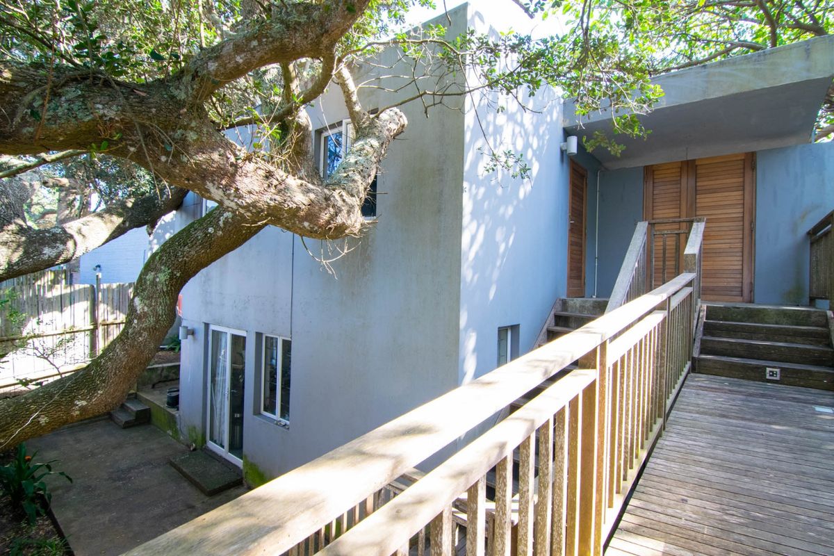 Exterior view of the property featuring a raised timber walkway, wooden doors, and a concrete facade nestled under mature trees.