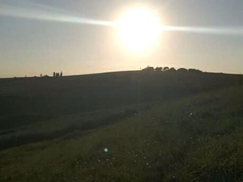 Farm in Mandeni close to Zinkwazi - Photo 4