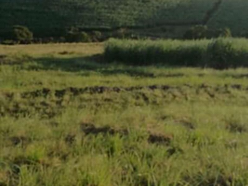 Farm in Mandeni close to Zinkwazi - Photo 1