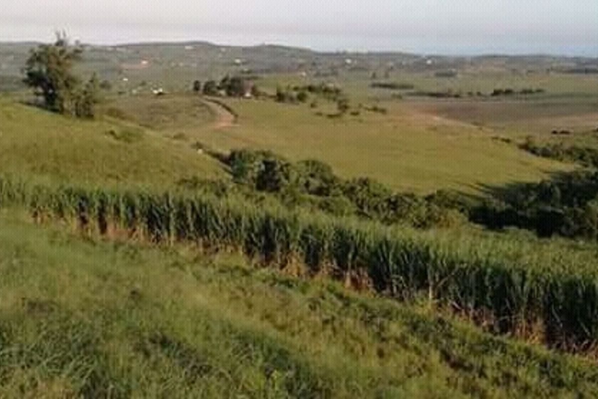 Farm in Mandeni close to Zinkwazi - Photo 2