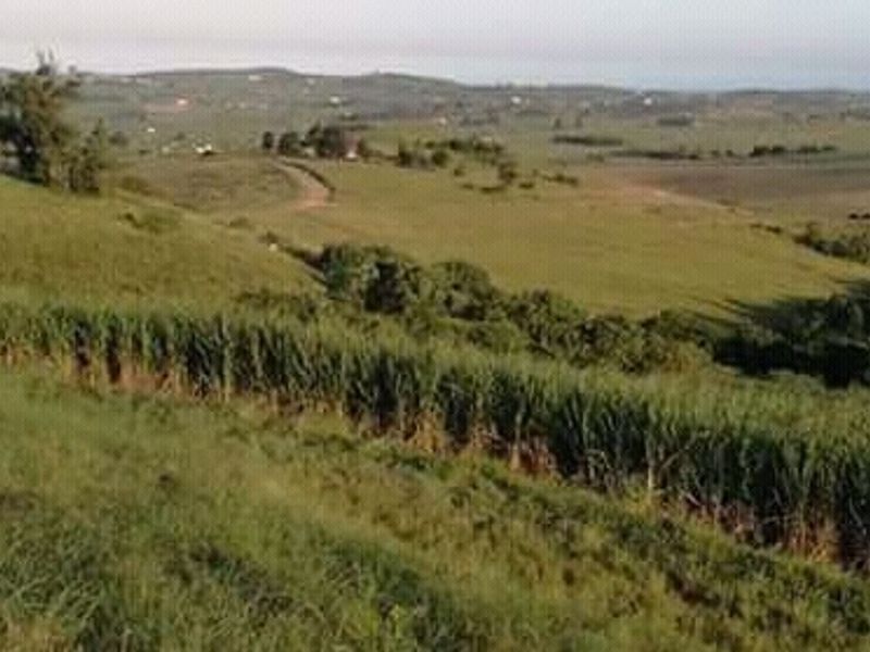Farm in Mandeni close to Zinkwazi - Photo 2