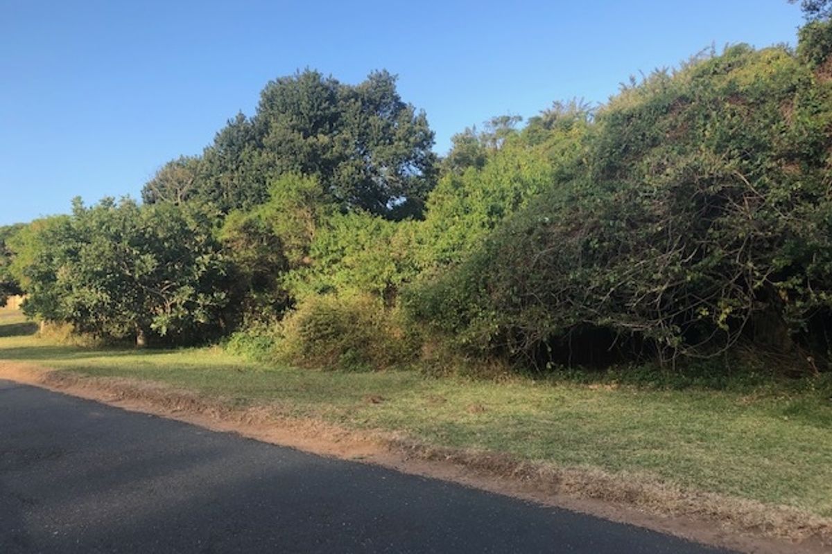 A view of the vacant residential land from the adjacent asphalt road, featuring established trees and natural vegetation.