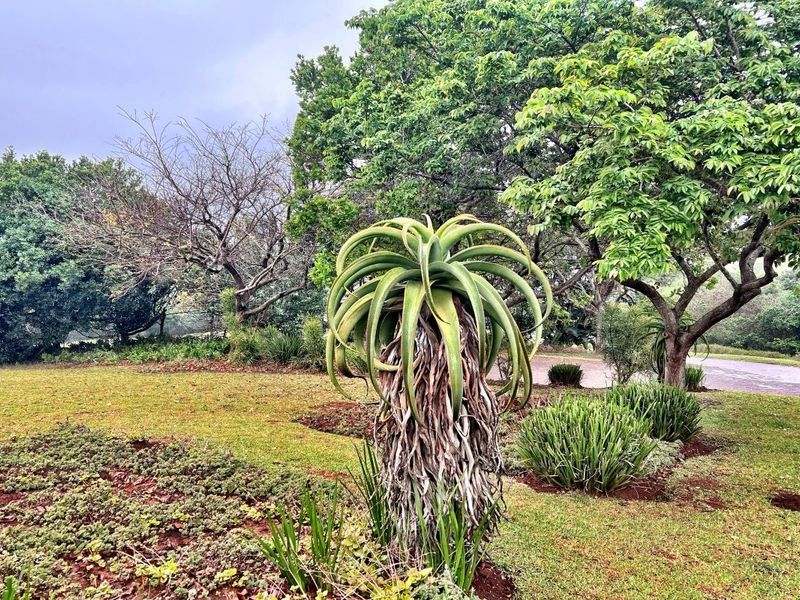 Own a piece of paradise in Prince's Grant Golf Estate - Photo 10