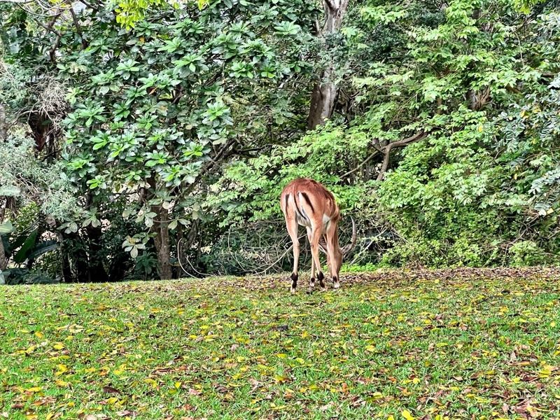 Own a piece of paradise in Prince's Grant Golf Estate - Photo 9