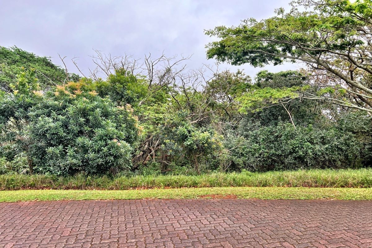 Own a piece of paradise in Prince's Grant Golf Estate - Photo 4