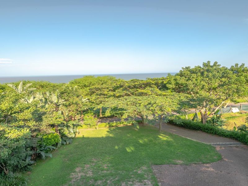 Bali in Zinkwazi - Photo 7