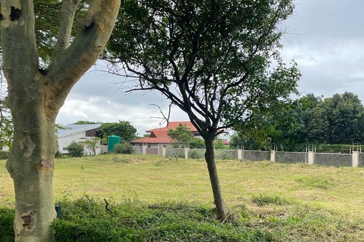 A view of a vacant residential plot featuring mature trees, grassed terrain, and perimeter fencing.