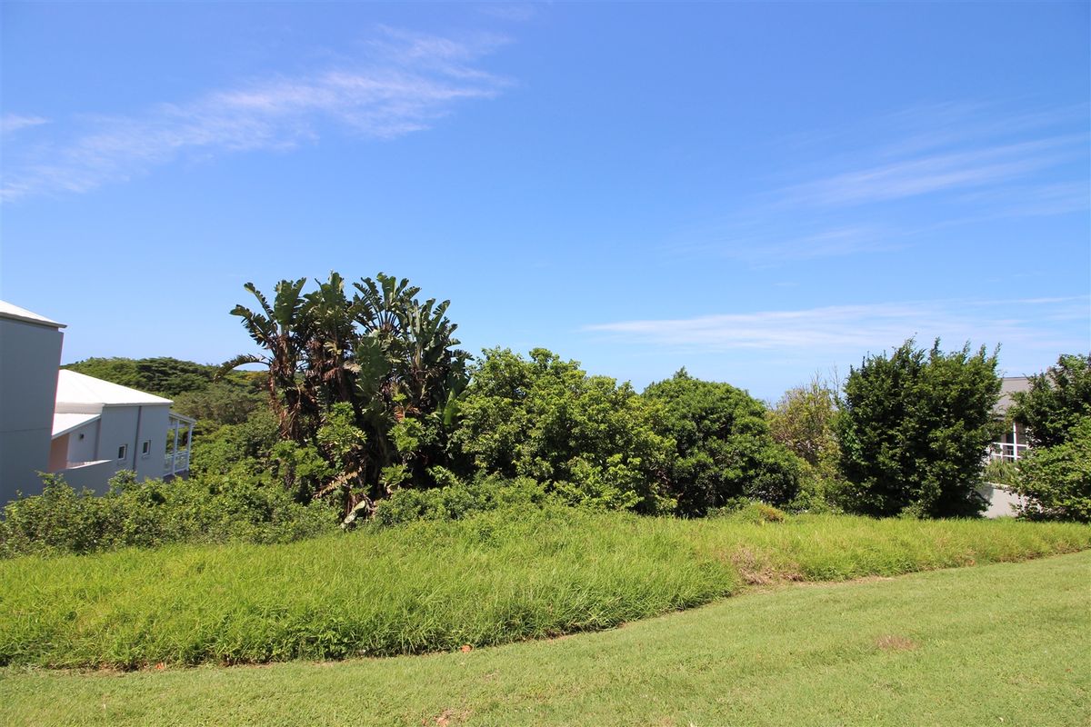 Exclusive to Harcourts Coastal Designs - Photo 2