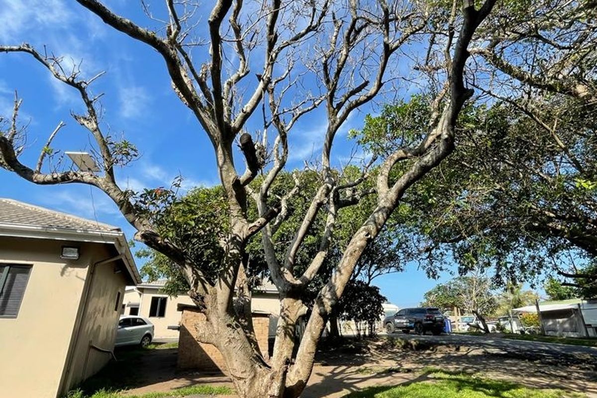 One of the last developed beach front properties in Tugela - Photo 2