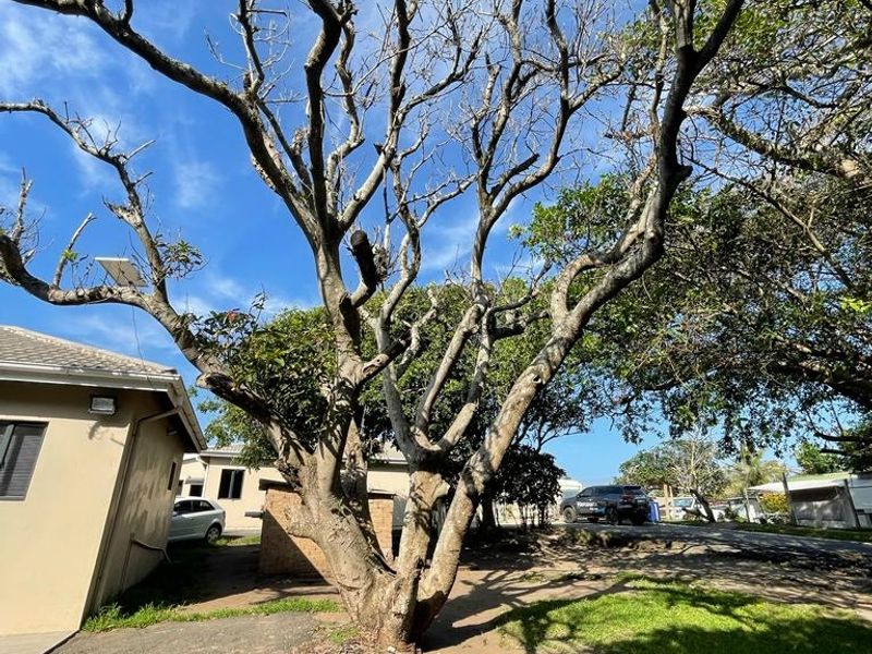 One of the last developed beach front properties in Tugela - Photo 2