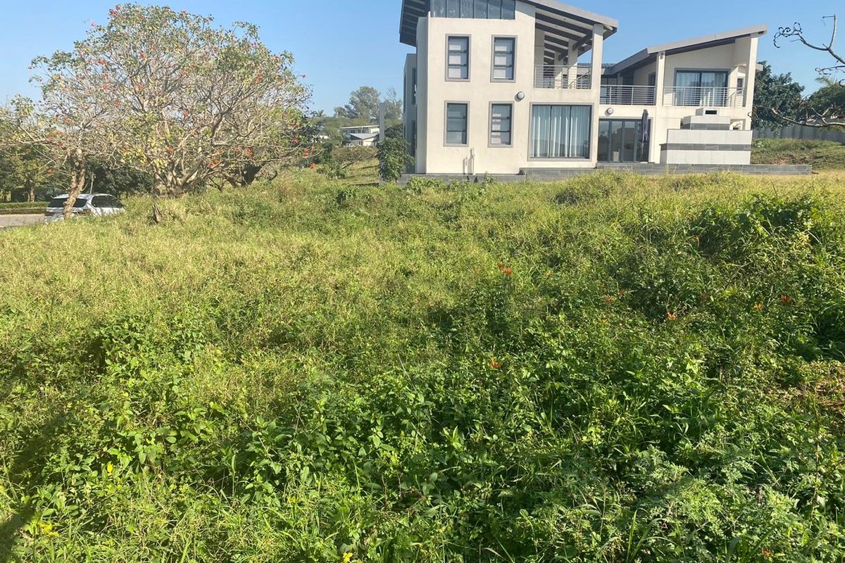 A view of a vacant residential plot featuring overgrown grass and shrubs, with a modern multi-story dwelling visible in the background.