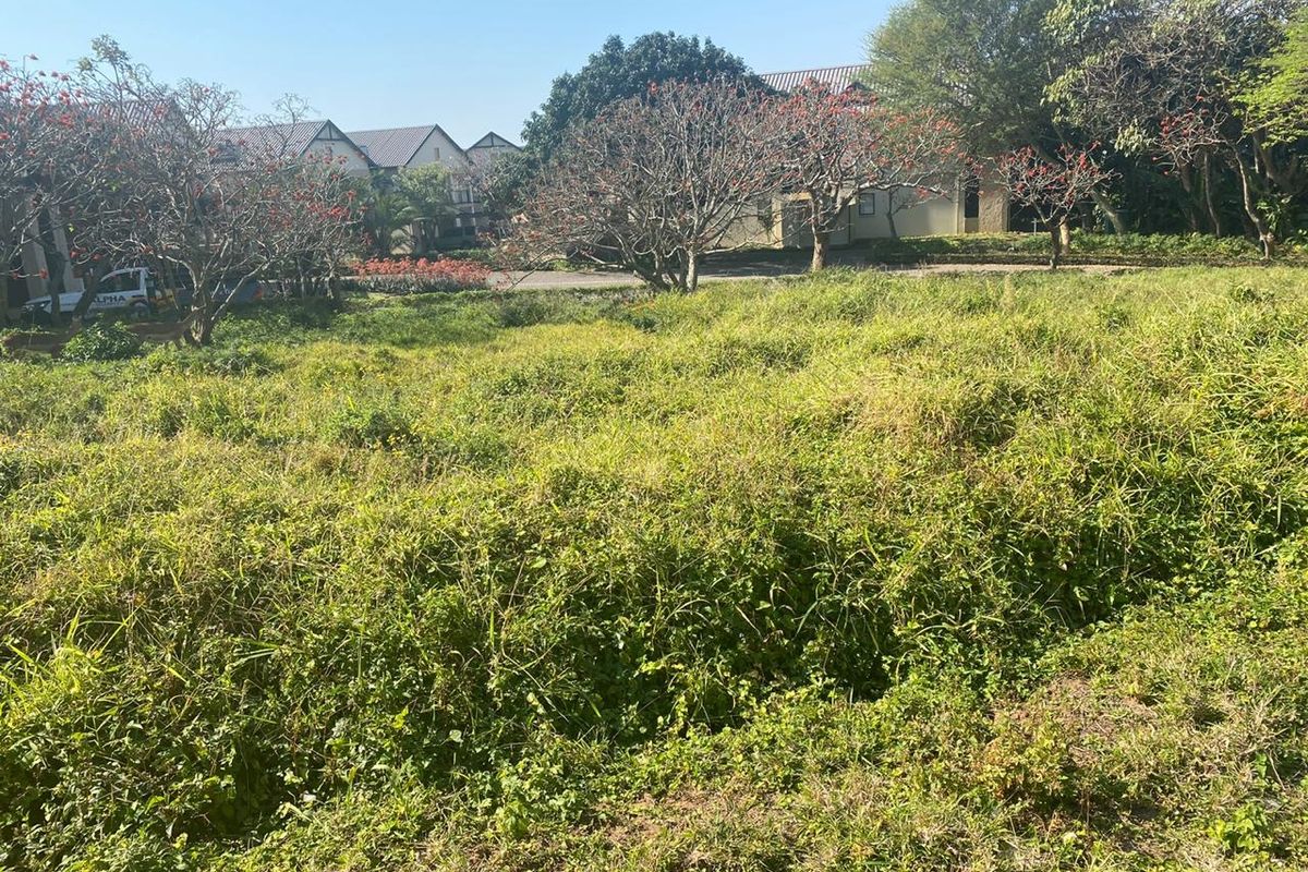 A vacant residential plot featuring established trees and dense ground cover, situated in a developed neighborhood setting.