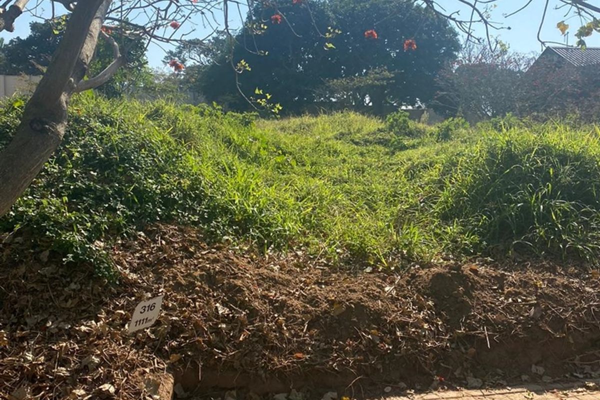 A vacant residential plot featuring natural vegetation and a paved street-level access point, offering a blank canvas for future development.