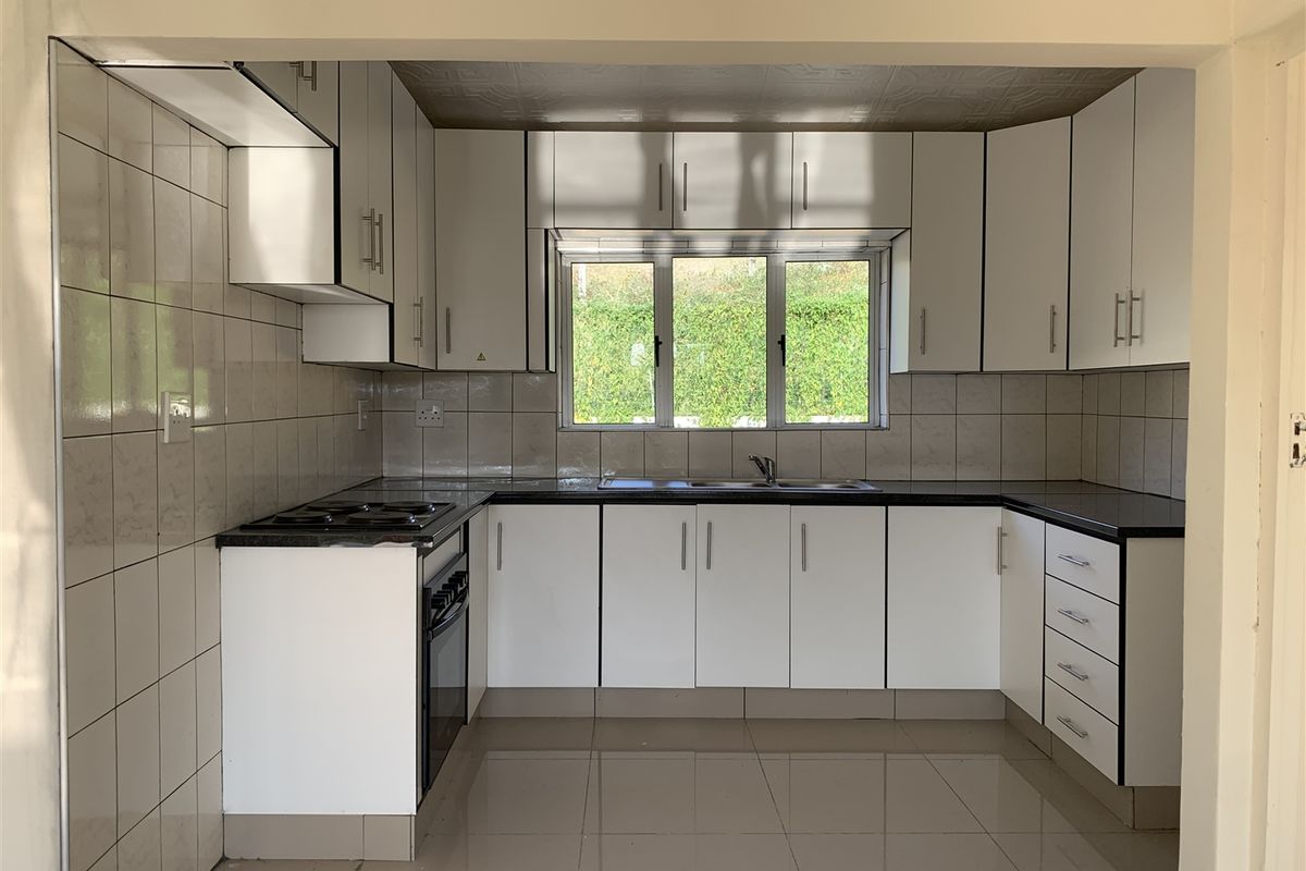 Newly Renovated Home - Photo 4