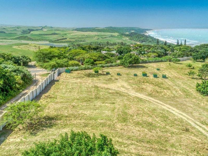 Stunning large stand in secure Estate - Photo 2