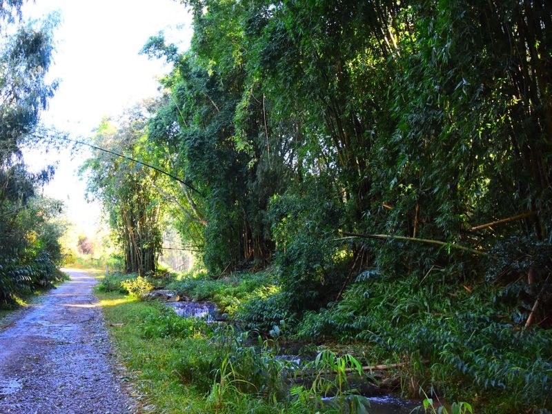 18 Hectares of Woodland in Montrose - Photo 7