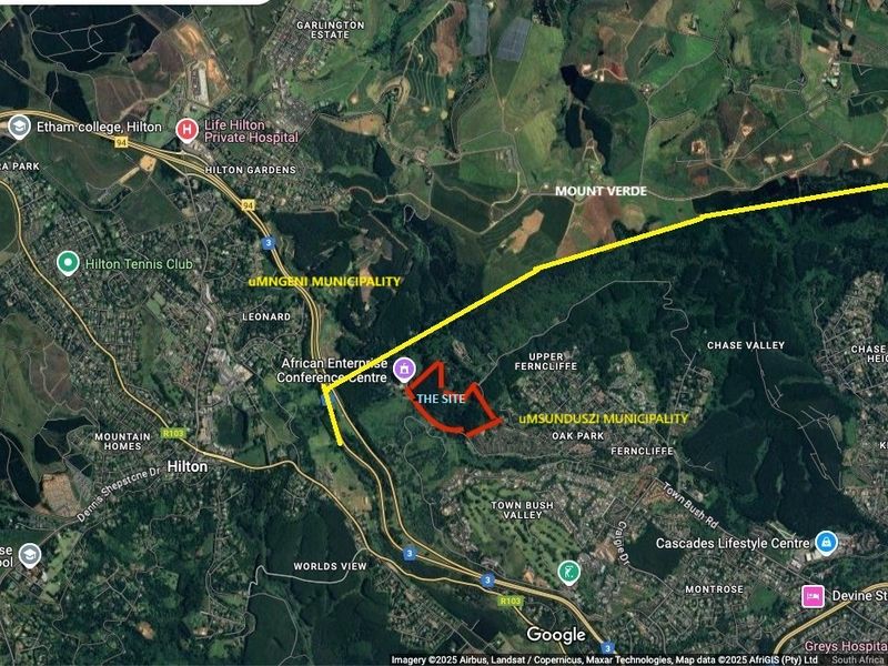 18 Hectares of Woodland in Montrose - Photo 4