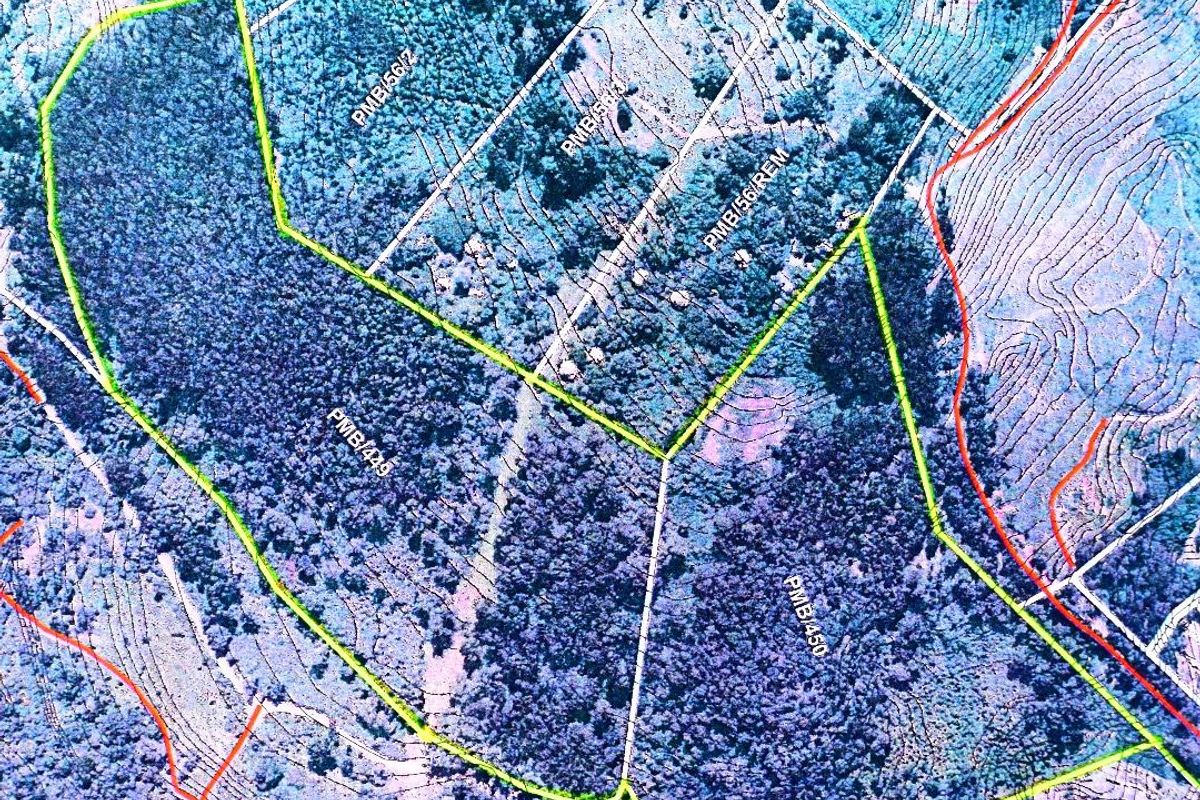 18 Hectares of Woodland in Montrose - Photo 3