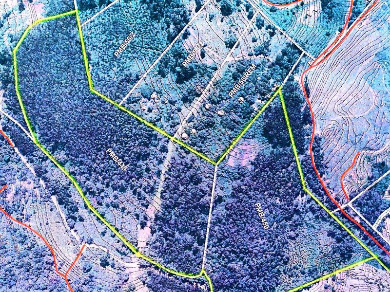 18 Hectares of Woodland in Montrose - Photo 3